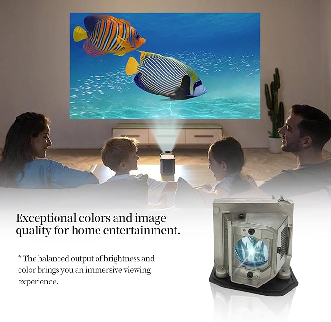 SORNEICDR BL-FU240A/SP.8RU01GC01/BL-FU190E/SP.8VC01GC01 Replacement Projector Lamp Bulb Compatible with Optoma DH1011 EH300 HD25-LV HD131X HD2500 HD30 HD30B HD25 HD131Xe HD131XW VDHDNUE Projectors