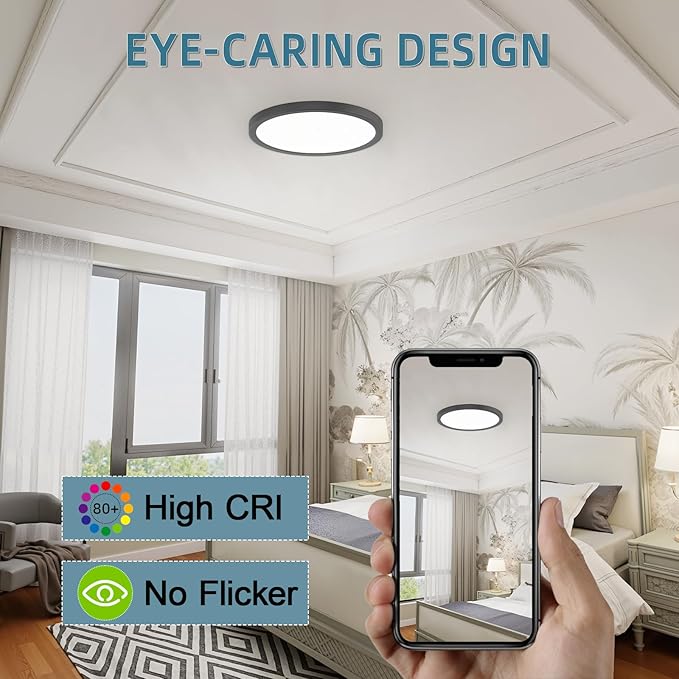 TOPELER Black LED Flush Mount Ceiling Light, 12inch Dimmable Round Ceiling Light, 28W 2400Lm, 5CCT Selectable Low Profile Slim Flat Panel Lights for Kitchen, Bedroom, Laundry, ETL & FCC Listed