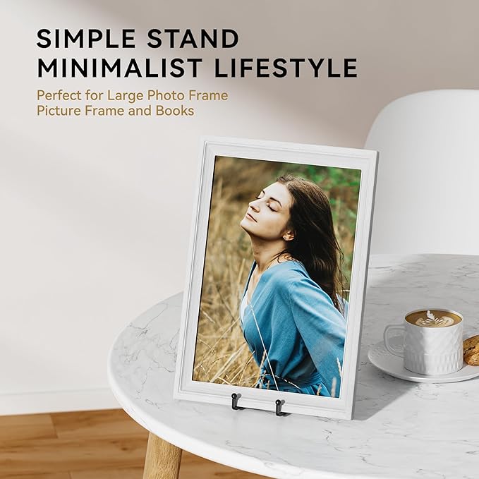 IPAME 4 Pack 10 Inch Large Plate Stands for Display - Metal Square Wire Plate Holder Display Stand + Picture Stand for Book, Platter, Plaque, Photo Easel