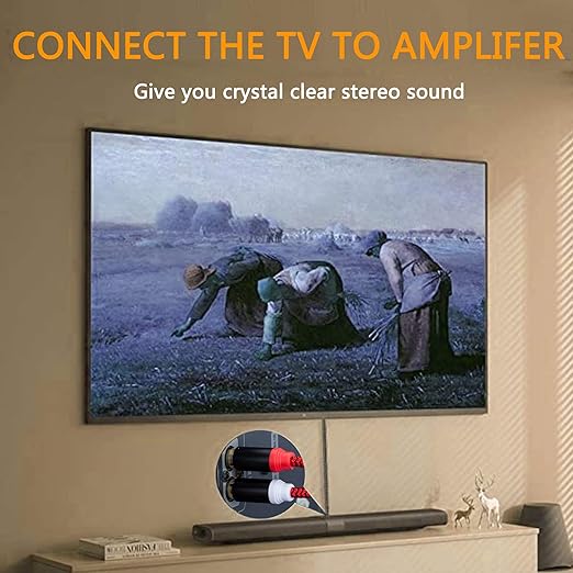 RCA Cable 30Ft,2Rca Male to 2-Rca Male Audio Stereo Subwoofer Cable [Hi-Fi Sound] Nylon-Braided Auxiliary Audio Cord for Home Theater, HDTV, Amplifiers, Hi-Fi Systems,Speakers and etc(30Ft/10M)