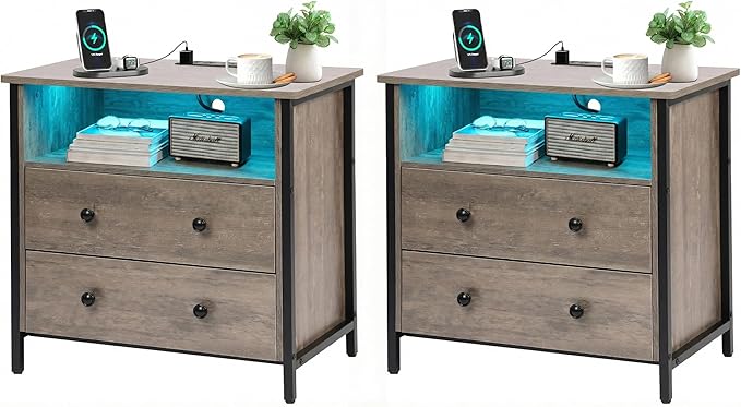Tykacna 27 Inch Wide Night Stand, Lrage Wood Night Stand Set 2 with 2 Drawers, LED Nightstand with Charging Station and Adjustable Drawer, Bedside Table for Living Room/Bedroom/Study/Office, Gray.