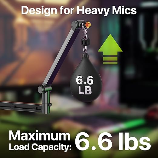 AA AUDIO ACCESSORY Low Profile Mic Boom Arm with XLR Cables 10ft 2 Pack