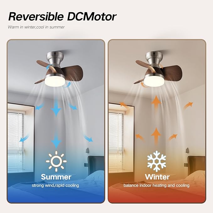 Myleoron 20 Inch Ceiling Fan with Light，3 Blades，Silver with Light with Remote Control Small Ceiling Fan ， Suitable for Living Room, Dining Room，Bedroom