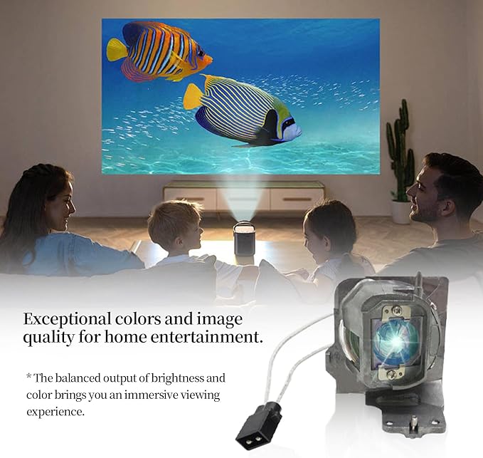 SORNEICDR BL-FU200E / SP.7EH01GC01 Replacement Projector Lamp Bulb Compatible with OPTOMA DH334 HD27H HD27HDR HD27LV-4K HD29H Projectors, with Housing