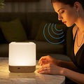 LIPKAHH Touch Lamp for Nightstand,Speech Control Bedside Lamp Touch Control for Bedrooms,Smart Rechargeable Night Light,Eye Caring Battery Dimmable Night Lamp for Nursery Kids & Adult
