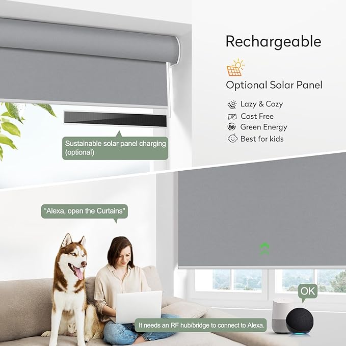 ZSHINE Motorized Blackout Window Blinds Customize Width Remote Control Rechargeable Motor Roller Shades for Windows, Home, Office, Hotel, Club, Restaurant(82026F)