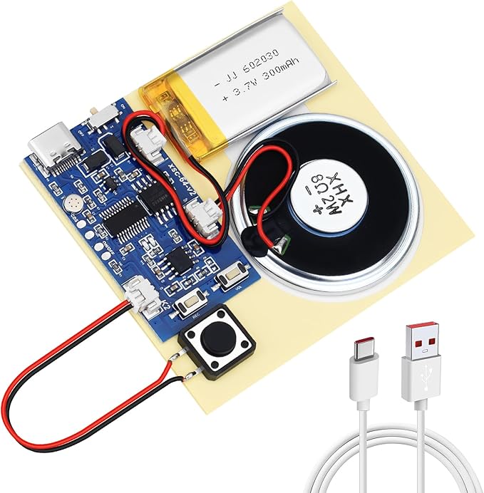 Sound Recorder Module DIY Music Voice Recording Module Chip with Speaker,Type-C Cable,Easy Recording Capability16 Minutes Music for Personalized Greetings, Holiday Crafts Cards with Manual