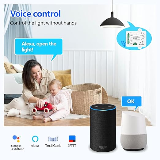 DieseRC 2 Channels WiFi Smart Switch, AC 90V-250V 220V Passive Output Relay Module Ewelink APP WiFi Control Compatible with Alexa/Google Home, Inching/Self-Locking Switch