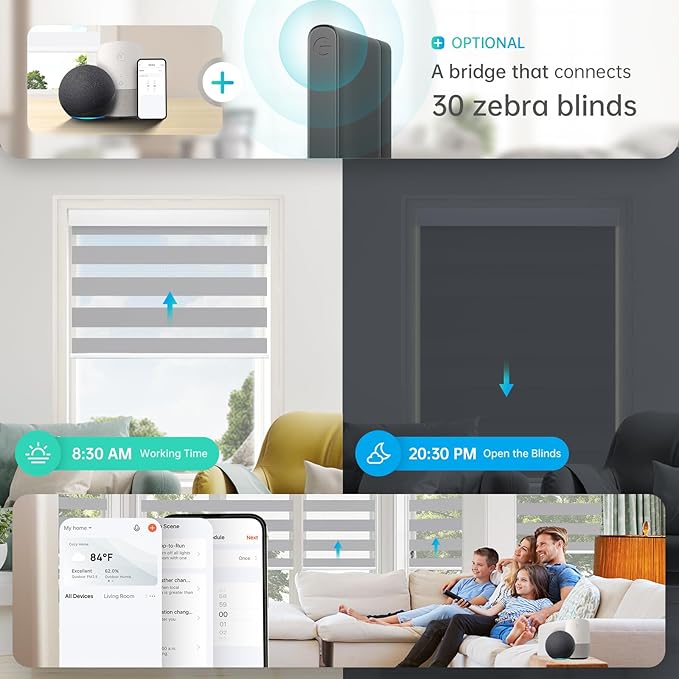 DENFOON Motorized Zebra Blinds, Solar Powered Dual Layer Automatic Shades with Remote Control, Rechargeable Smart Blinds Horizontal Wireless Electric Shades for Windows, Custom Size, Gray， 34 x 72