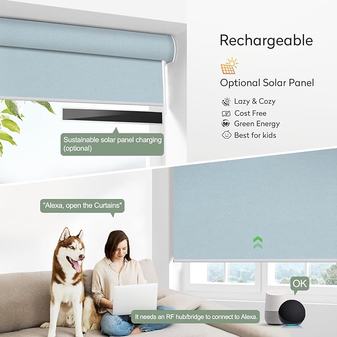 ZSHINE Motorized Blackout Window Blinds Customize Width Remote Control Rechargeable Motor Roller Shades for Windows, Home, Office, Hotel, Club, Restaurant(82026G)