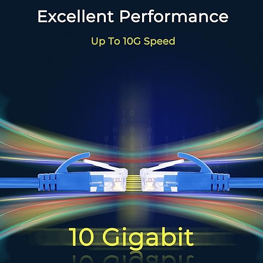 Rapink Cat6a 5ft Ethernet Cables (10 Pack) - Slim, 10G Support, Snagless, Flexible with Gold Plated Connectors