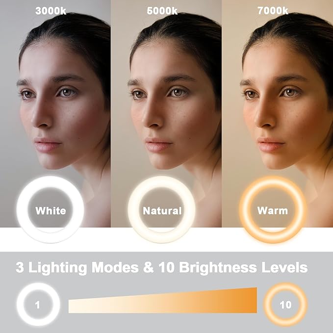 Meyin Ring Light Clip on Laptop Monitor, Webcam Light 10 Brightness Level Video Conference Lighting for Remote Working/Zoom Calls/Self Broadcasting/Live Streaming/Video Recording/TikTok