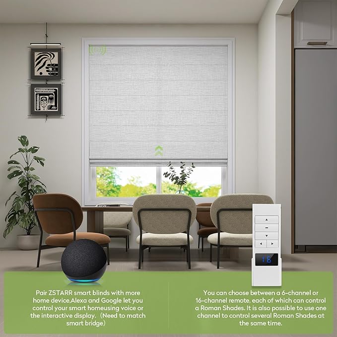 ZSTARR Smart Roman Shades Rechargeable Motorized Blinds with Remote Light Filtering Roman Window Shades Plain Fold Soft for Doors Bedroom, Custom Size (Light Gray)