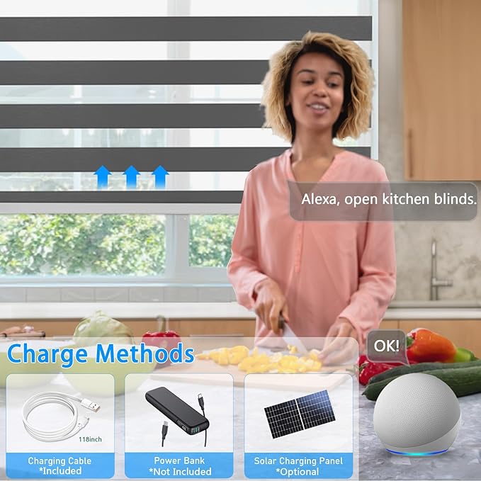 COOLWINDS Motorized Zebra Blinds for Windows Cordless Electric Curtains with Remote Control Blackout Shades Custom Smart Blinds Compatible with Alexa Google Home(Light Filtering Black,W48 X 72in)
