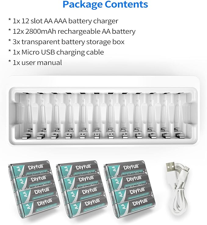 Dlyfull Rechargeable AA Batteries with Charger, 12PCS 2800mAh High Capacity Low Self Discharge Ni-MH Double A Batteries with Battery Charger -USB&Type C Dual Input High-Speed Charging Ports