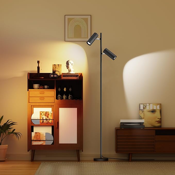 SIBRILLE Spotlight Floor Lamp, Tall LED Standing Lamp with Remote/Touch Control, 2700K-6500K, 350°Rotating Head Standing Lamp, Reading Floor Lamp for Living Room, Bedroom, Office & Wall Art, Dual Head