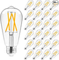 Hizashi Vintage Edison Bulb Dimmable, 6W Equivalent 60W, E26 Base LED Light Bulb, 2700k Warm White, 700LM, High CRI 95+ Eye Protection, Clear Glass, Pack of 24