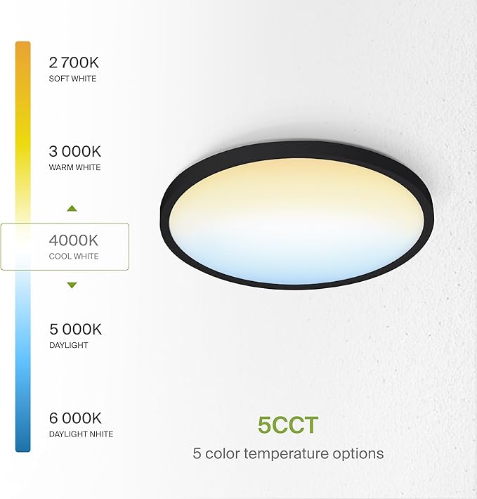 ASD LED 12" Round Flush Mount Ceiling Light Fixture, Low Profile Surface Lighting | 5CCT, Dimmable, Ultra-Thin, ETL Listed | 24W 1900LM 2700-6000K 120V | Kitchen, Bedroom, Hallway Lamp | Black