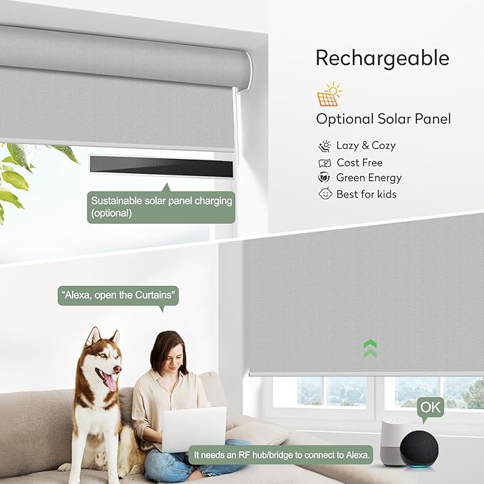 ZSHINE Motorized Blackout Roller Blinds Customize Width Remote Control Wireless and Rechargeable Window Roller Shades for, Home, Office, Hotel, Restaurant and Cinema(82067P)