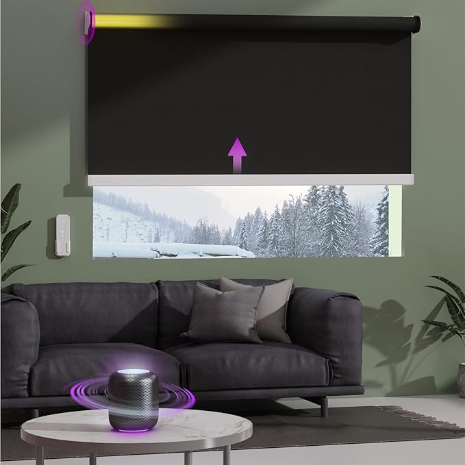 Astomi Motorized Roller Shades for Windows, Blackout Automatic Blinds, Smart Blinds, Voice Control, Work with Alexa, Google, Custom Size,Vinyl-Classic Black