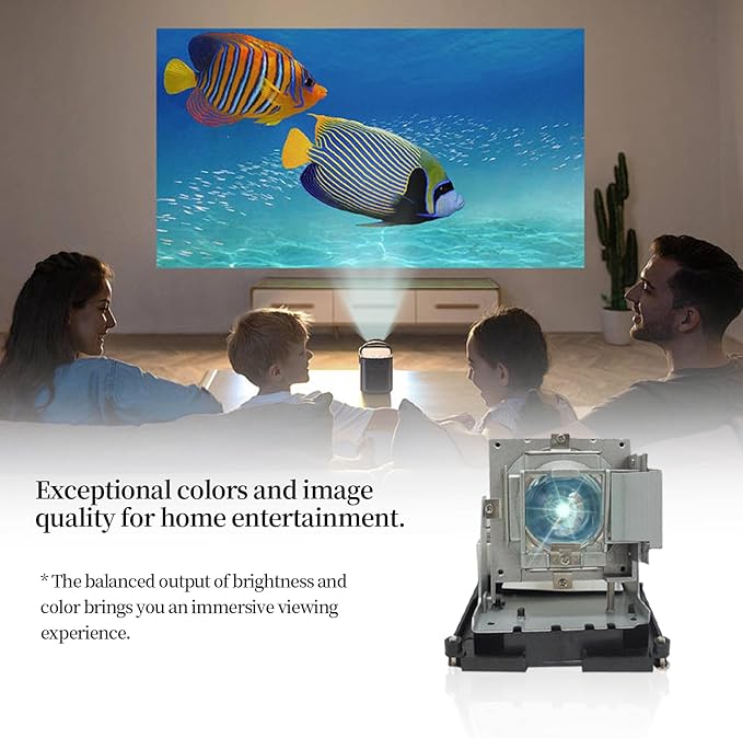 SORNEICDR BL-FU310B / 5811118436-SOT Replacement Projector Lamp Bulb Compatible with OPTOMA DH1014 DH1017 EH500 X600 Projectors, with Housing