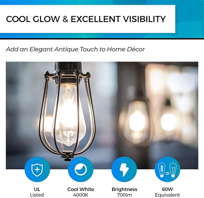 Hizashi Vintage LED Edison Bulb Dimmable, 6W Equivalent 60W, 4000k Neutral White, 700LM, E26 Base Light Bulbs, High CRI 95+ Eye Protection, Clear Glass, Pack of 24