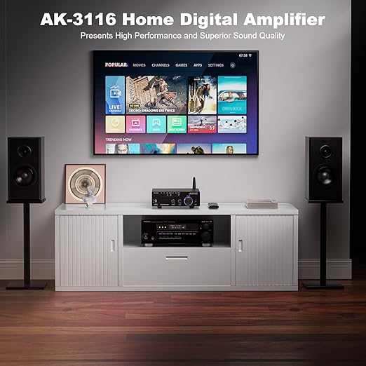 Facmogu AK-3116 HiFi Digital Amplifier, Bluetooth 5.3 200W Dual TPA3116 2 Channel 2x100W Class D Stereo Receiver w/RCA, USB, Optical, FM, Mini Amp Audio System for Home, Outdoor, w/ 24V Power Supply