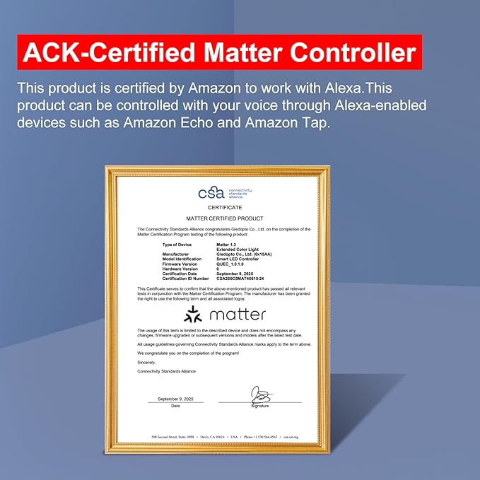 GLEDOPTO Alexa Connect Kit Matter LED Strip Light Controller RGBCCT PWM Dimming Work with Matter Echo Device Zero Touch Pairing Easy Wiring for RGBCCT Analog Strip Light (Matter Hub Require)