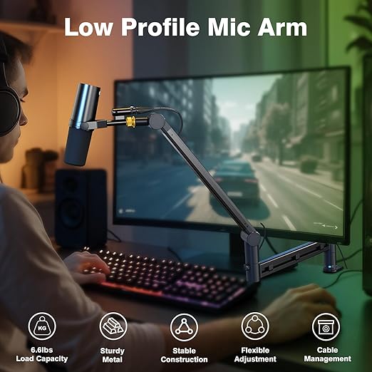 AA AUDIO ACCESSORY Low Profile Mic Boom Arm with Gold Series Star Quad XLR Cables 10ft