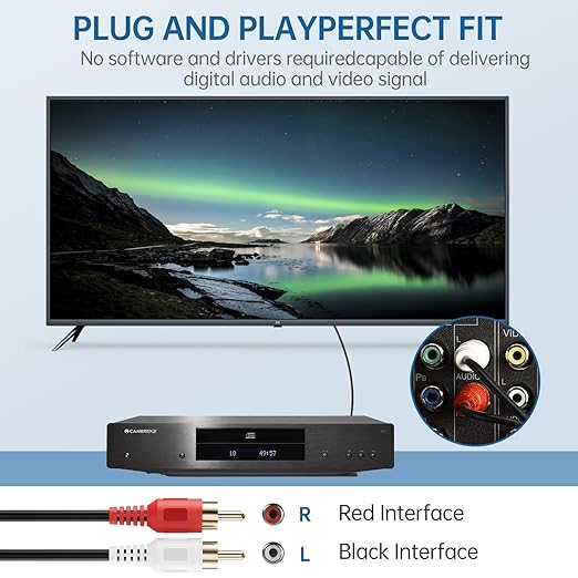 Sjorks RCA Cable 100ft,2RCA Male to 2RCA Male,Audio Stereo Subwoofer Cable [Hi-Fi Sound] Auxiliary Audio Cord for Home Theater, HDTV, Amplifiers, Hi-Fi Systems,Speakers and etc