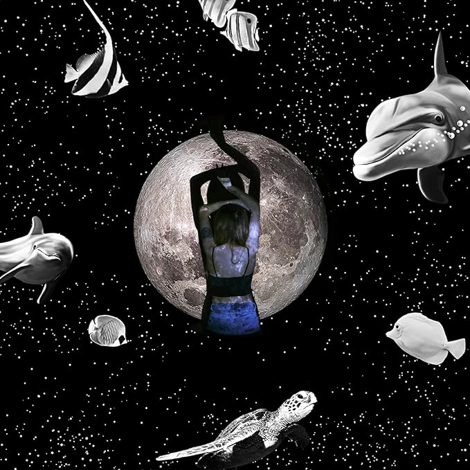 USB Power Moon Projector Night Light with Dolphins and Whales Flying Around,Angle Bendable and Image Clearness Adjustable Moon Atmosphere Projector, Christmas Birthday Gift