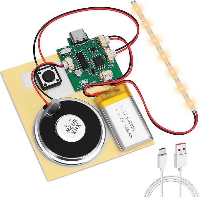 1PCS Customize Recording Module with LED Strip DIY Music Voice Recording Module Chip with Speaker,Type-C Cable,Capability16 Minutes Music for Personalized Greetings, Holiday Crafts Cards with Manual