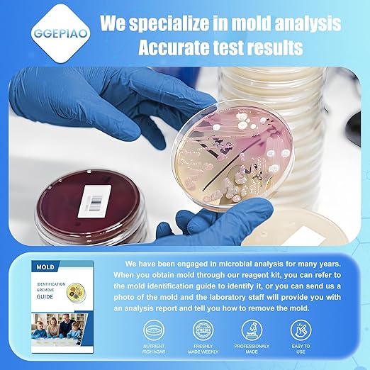 Mold Test Kit for Home,7 Simple Detection Tests,Test HVAC System,Home Surfaces, Indoor Air Quality Testing,DIY Mold Detector for Home,Includes Detailed Mold Identification Guide,Black Mold Testing kit