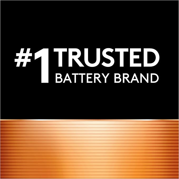 Duracell Rechargeable AAA Batteries, 2 Count (Pack of 1), Triple A Battery for Long-lasting Power, All-Purpose Pre-Charged Battery for Household and Business Devices