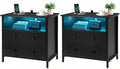 Tykacna 27 Inch Wide Night Stand, Large Wood Night Stand Set 2 with 2 Drawers, LED Nightstand with Charging Station and Adjustable Drawer, Bedside Table for Living Room/Bedroom/Study/Office, Black.