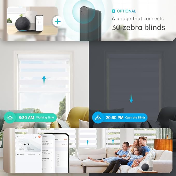 DENFOON Motorized Zebra Blinds, Solar Powered Dual Layer Automatic Shades with Remote Control, Rechargeable Smart Blinds Horizontal Wireless Electric Shades for Windows, Custom Size, White， 32 x 72
