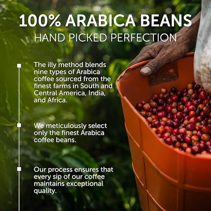 illy Whole Bean Coffee, Nicaragua Single Origin Medium Roast, 100% Arabica, Premium Italian Coffee, Ideal for Espresso, Drip, Moka and French Press Brewing, 8.8oz, 6 Pack
