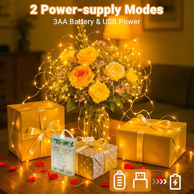 litogo 2 Pack Fairy Lights Battery Operated with Timer, 33FT 100LED Twinkle String Lights USB-C Powered 8 Modes Dimmable for Indoor Bedroom Centerpiece Wedding Classroom Dorm Christmas Decorations