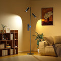 SIBRILLE Spotlight Floor Lamp, Tall LED Standing Lamp with Remote/Touch Control, 2700K-6500K, 350°Rotating Head Standing Lamp, Reading Floor Lamp for Living Room, Bedroom, Office & Wall Art, Dual Head