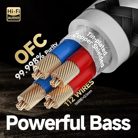 TODN RCA Cables Audiophile Male to Male Stereo Shielded HiFi OFC RCA Cable for Car Audio, Sub, Amp, Phono (3ft/1m, 1 Pair)