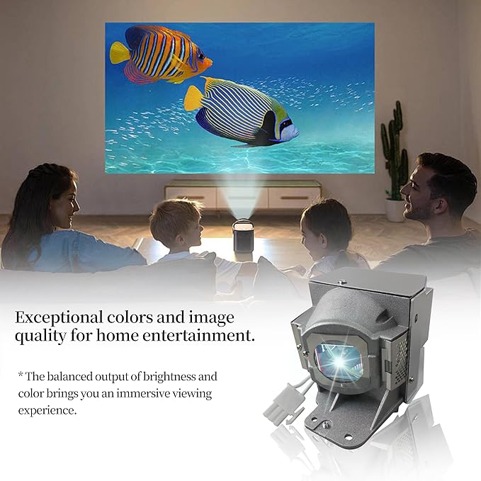 SORNEICDR RLC-079 Replacement Projector Lamp Bulb Compatible with Viewsonic PJD7820HD PJD7822HDL Projector Lamp Bulb with Housing