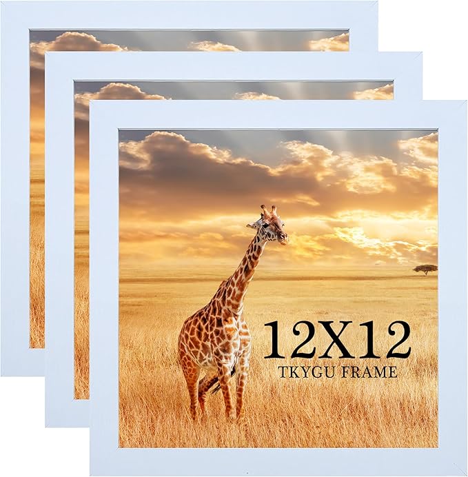 TKYGU 12x12 Picture Frame Set of 3, white Wooden Frame 12by12 Square Wall Gallery Poster Photo frame with Durable Shatter Resistant Plexiglass for Wall Hanging best gift