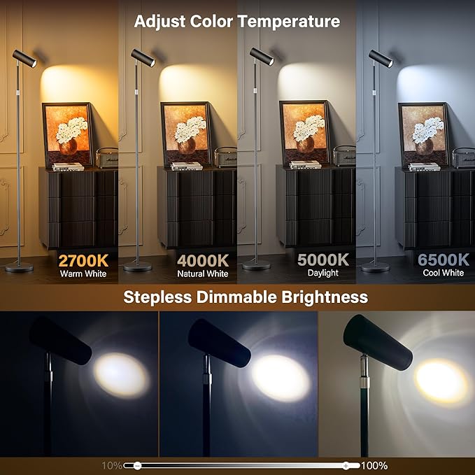 SIBRILLE Spotlight Floor Lamp, Tall LED Standing Lamp with Remote/Touch Control, 2700K-6500K, 350°Rotating Head Standing Lamp, Reading Floor Lamp for Living Room, Bedroom, Office & Wall Art, Black