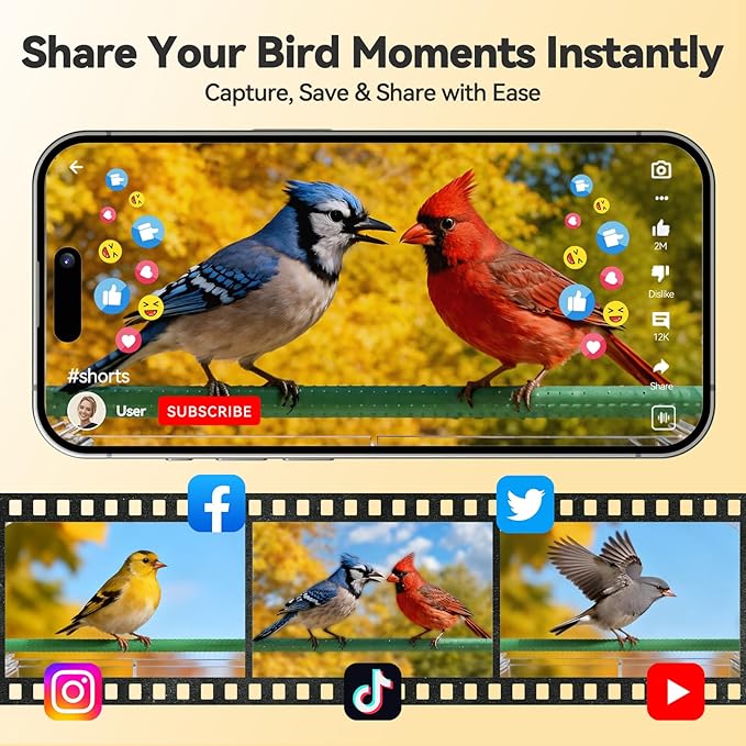 Dzees Smart Window Bird Feeder with Camera, Clear 2K HD Camera with AI Bird Identifier, Live Stream & Auto-Capture, Easy Suction Cup Installation, Perfect Tech Gift for Nature Lovers
