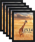 TKYGU 12x14 Picture Frame Black Set of 5,Wooden Frame 12x14 Wall Gallery Poster Photo frame with Durable Shatter Resistant Plexiglass for Wall Mounting Family -friend- wedding best gift