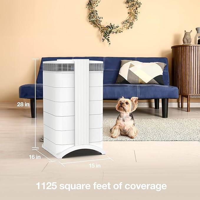 IQAir HealthPro Plus XE Air Purifier - 2-Pack- Smart HyperHEPA Filtration for Large Rooms up to 2250 sq ft - Viruses, Allergens, Smoke, Mold, Dust, Pet Dander, Swiss Made, WiFi Enabled