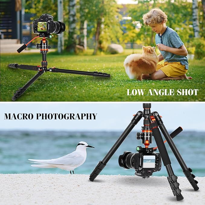 Nietoto Camera Tripods & Projector Stand, 2 in1 Tripod for Camera with Removable Metal Tray, Heavy Duty Tripod for DSLR. Projector. Sheet Music and Tablet, Extra Metal Spikes and Carry Bag