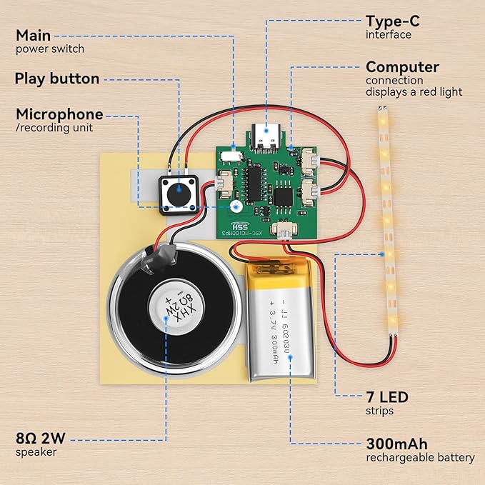 2PCS Customize Recording Module with LED Strip DIY Music Voice Recording Module Chip with Speaker,Type-C Cable,Capability16 Minutes Music for Personalized Greetings, Holiday Crafts Cards with Manual