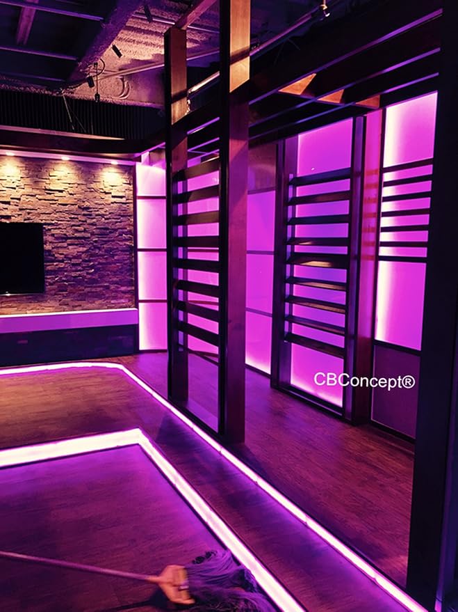 CBConcept UL Listed, 6.6 Feet, 720 Lumen, Pink, Dimmable, 110-120V AC Flexible Flat LED Strip Rope Light, 120 Units 3528 SMD LEDs, Indoor Outdoor Use, Accessories Included, Ready to use