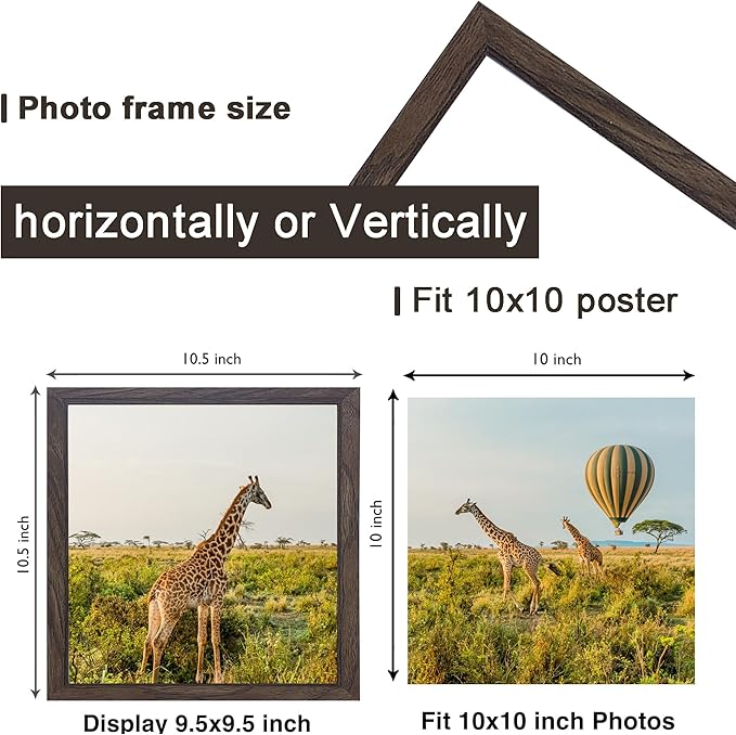 TKYGU 10x10 Picture Frame Set of 3, walnut Wooden Frame 10 by 10 Square Wall Gallery Poster Photo frame with Durable Shatter Resistant Plexiglass for Wall Hanging best gift
